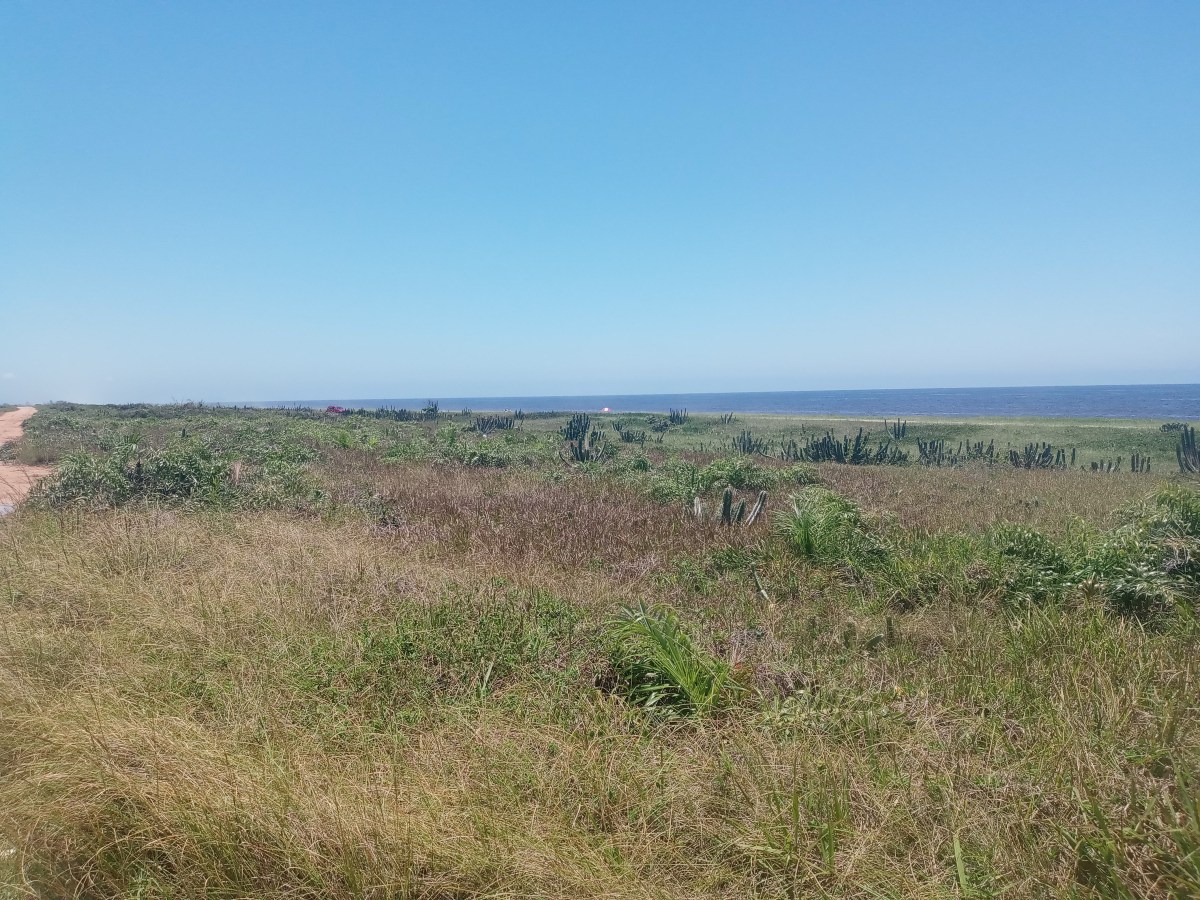 Damer liker å&nbsp;snakke