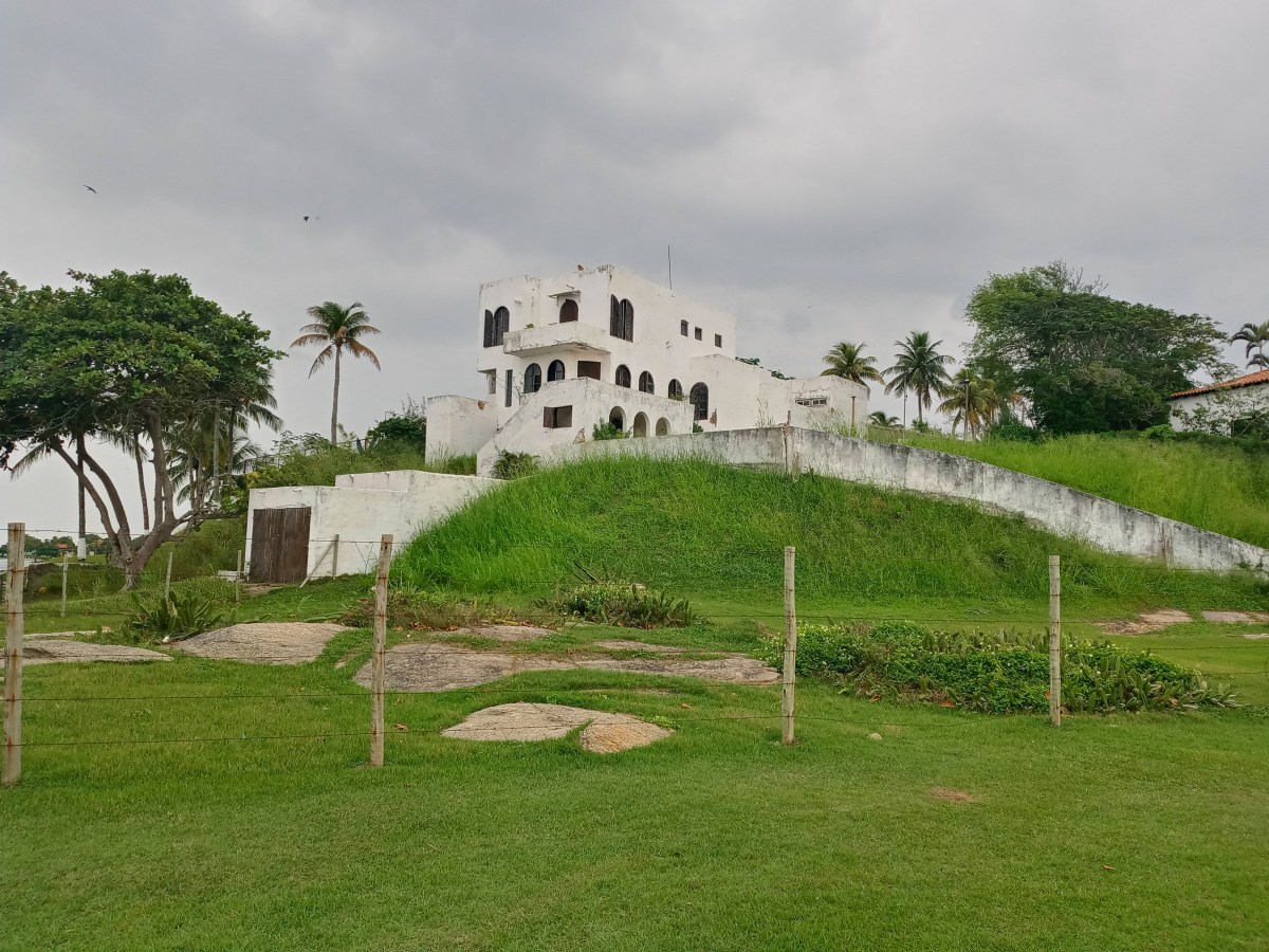 Redd for slanger i høyt&nbsp;gress