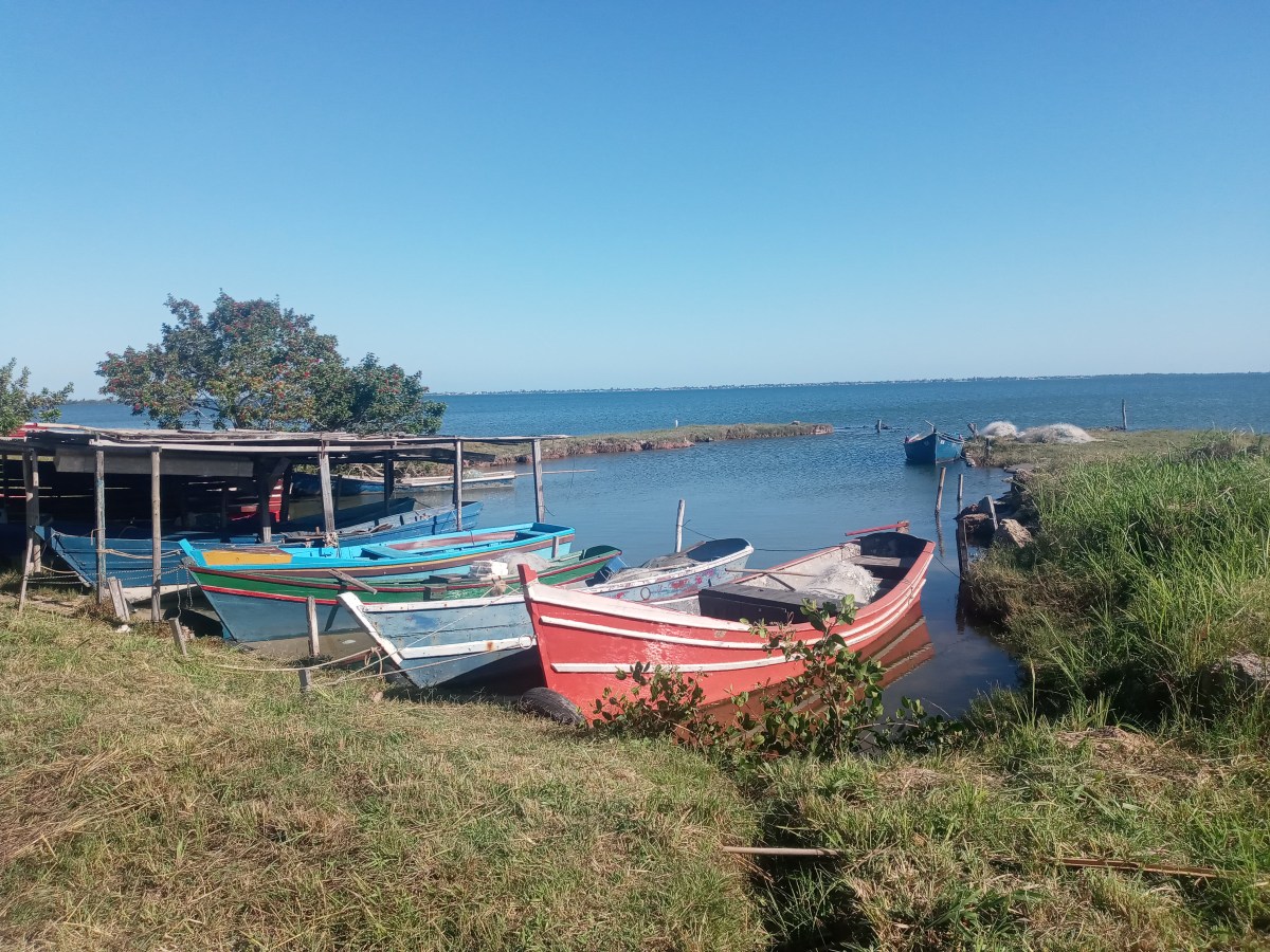 Jakte på flott&nbsp;natur