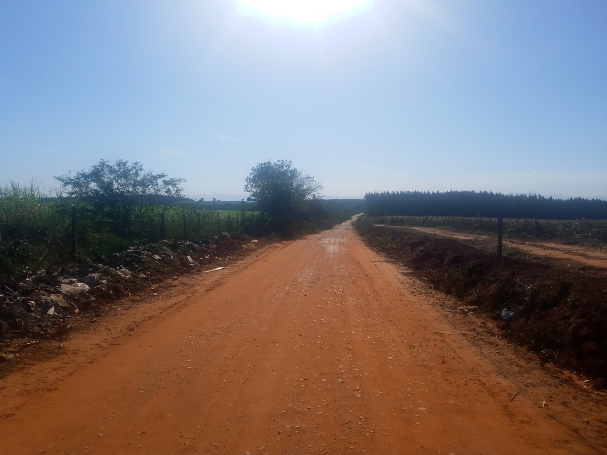 En mislykket Skogstur i&nbsp;Brasil