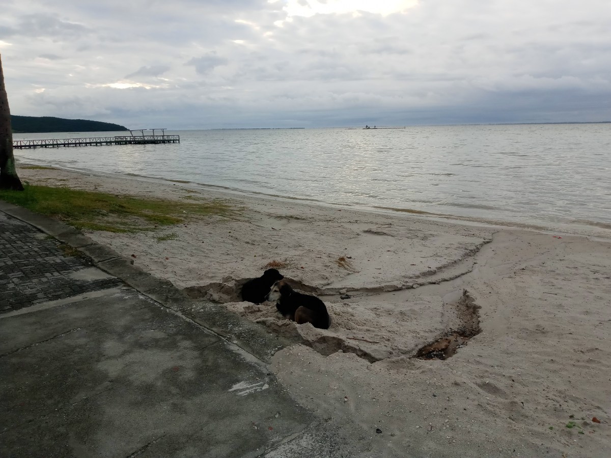 Morgenlys over Lagunaen: En løpetur i Iguaba&nbsp;Grande